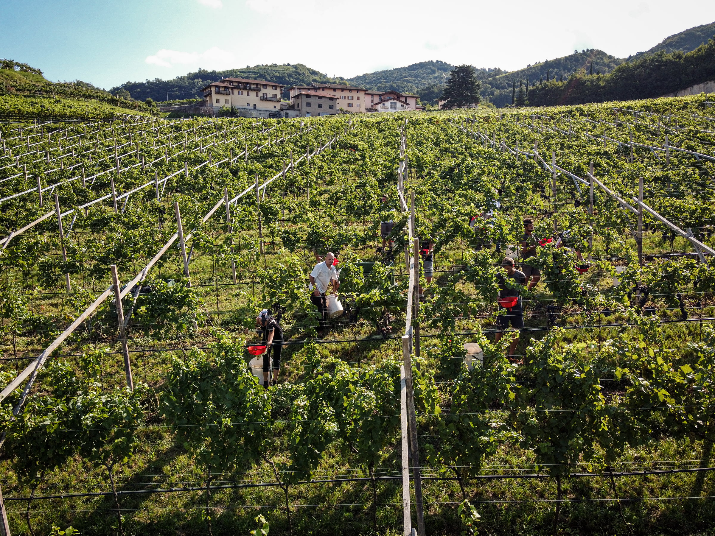 Moser Trento - from Trentodoc Wines - Trentino